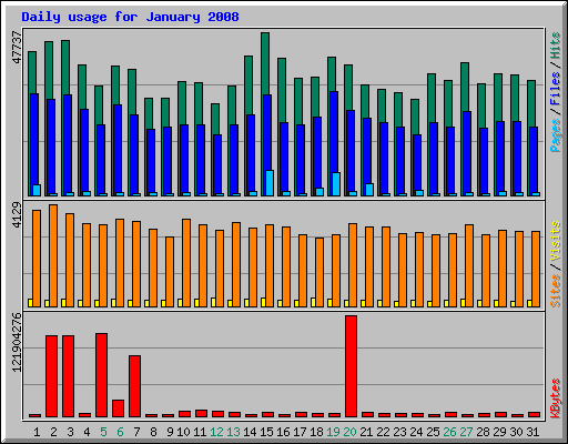 Daily usage for January 2008