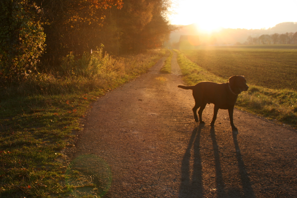 Hintergrundbild